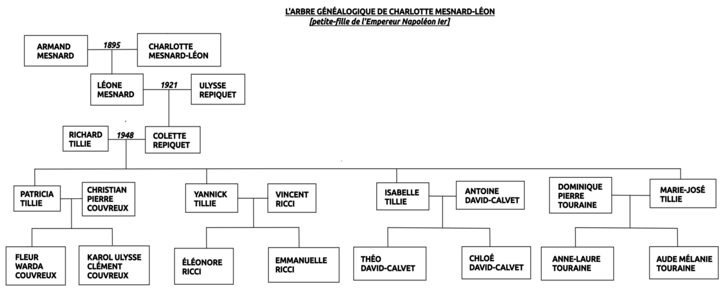 Arbre généalogique Charlotte Mesnard-Léon, Napoléon 