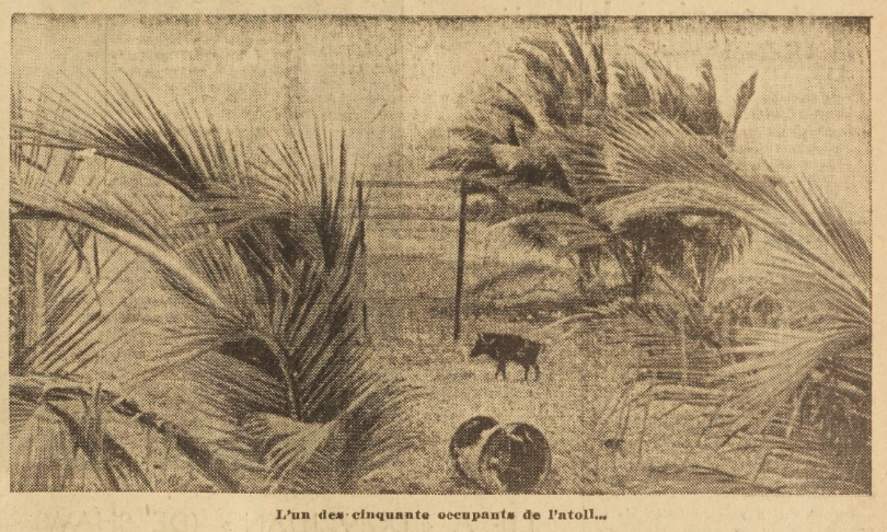 Occupants de l'atoll de Clipperton, 1952