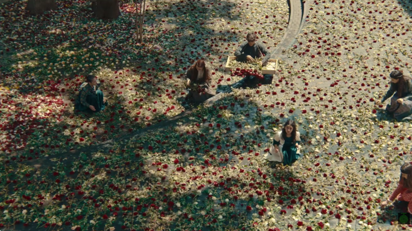 Roses offertes, actrice Margarita